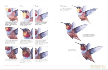 Painting Birds - Sarah Stokes [KSIĄŻKA]