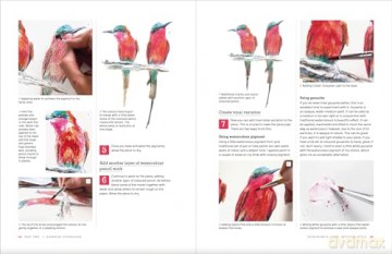 Painting Birds - Sarah Stokes [KSIĄŻKA]
