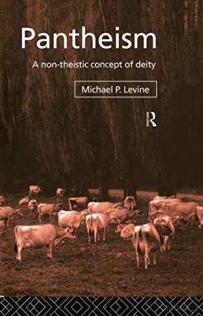Pantheism Non Theistic Concept - Levine [KSIĄŻKA]