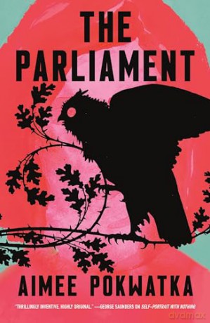 Parliament - Aimee Pokwatka [KSIĄŻKA]