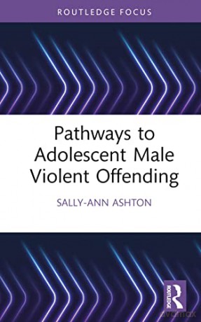 Pathways to Adolescent Male Violent Offending (Routledge Studies in Criminal Behaviour) - Sally Ann Ashton [KSIĄŻKA]