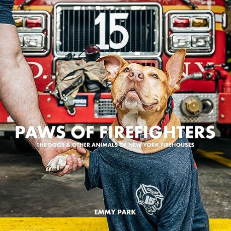 Paws Of Firefighters - Emmy Park [KSIĄŻKA]