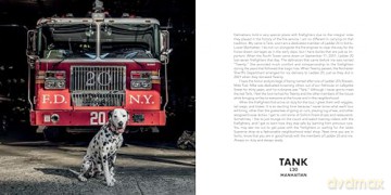 Paws Of Firefighters - Emmy Park [KSIĄŻKA]