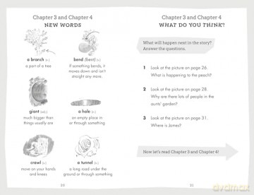 Penguin Readers Level 3: Roald Dahl James and the Giant Peach (ELT Graded Reader) (Penguin Readers Roald Dahl) - Roald Dahl [KSIĄŻKA]