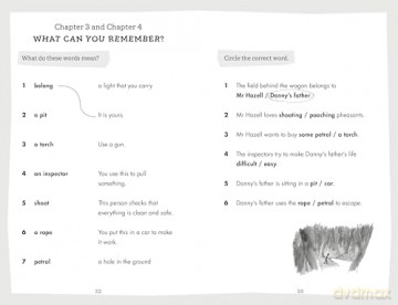 Penguin Readers Level 4: Roald Dahl Danny the Champion of the World (ELT Graded Reader) (Penguin Readers Roald Dahl) - Roald Dahl [KSIĄŻKA]