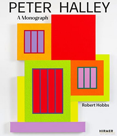 Peter Halley A Monograph - Robert Hobbs [KSIĄŻKA]