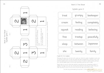 Phonic Books Dragon Eggs Activities - Phonic Books [KSIĄŻKA]
