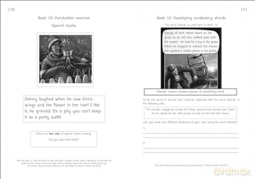 Phonic Books Rescue Activities - Phonic Books [KSIĄŻKA]