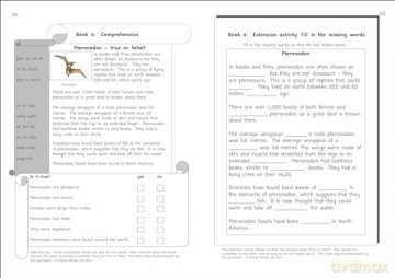 Phonic Books Talisman 2 Activities - Phonic Books [KSIĄŻKA]