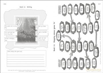 Phonic Books Totem Activities - Phonic Books [KSIĄŻKA]