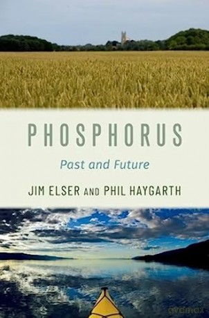 Phosphorus [KSIĄŻKA]
