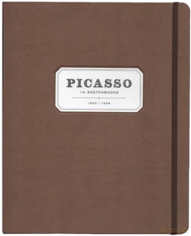 Picasso 14 Sketchbooks - Pablo Picasso [KSIĄŻKA]