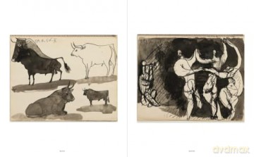 Picasso 14 Sketchbooks - Pablo Picasso [KSIĄŻKA]