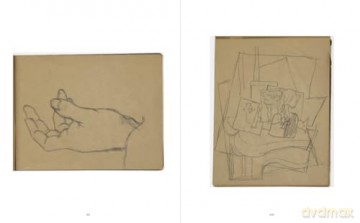 Picasso 14 Sketchbooks - Pablo Picasso [KSIĄŻKA]