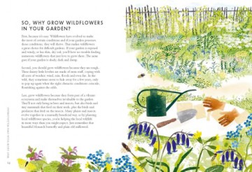 Planting Wildflowers A Growers Guide - Jane Moore [KSIĄŻKA]