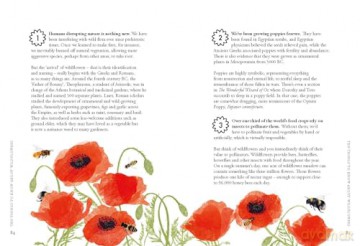 Planting Wildflowers A Growers Guide - Jane Moore [KSIĄŻKA]