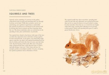 Planting Wildflowers A Growers Guide - Jane Moore [KSIĄŻKA]