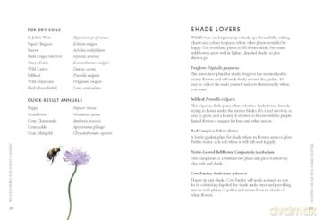 Planting Wildflowers A Growers Guide - Jane Moore [KSIĄŻKA]