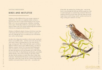 Planting Wildflowers A Growers Guide - Jane Moore [KSIĄŻKA]