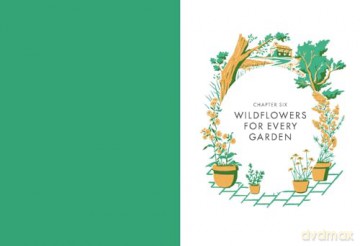 Planting Wildflowers A Growers Guide - Jane Moore [KSIĄŻKA]