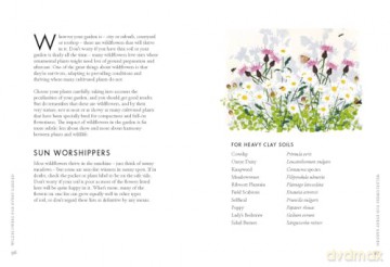 Planting Wildflowers A Growers Guide - Jane Moore [KSIĄŻKA]