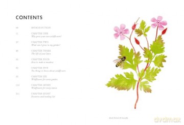 Planting Wildflowers A Growers Guide - Jane Moore [KSIĄŻKA]
