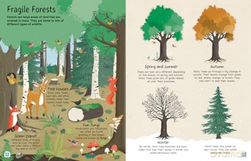 Plants Where Do They Grow - Annabel Griffin [KSIĄŻKA]