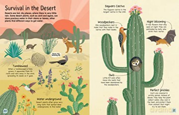 Plants Where Do They Grow - Annabel Griffin [KSIĄŻKA]
