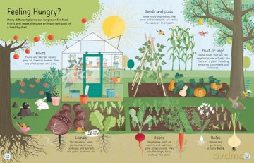 Plants Why Do We Need Them - Annabel Griffin [KSIĄŻKA]