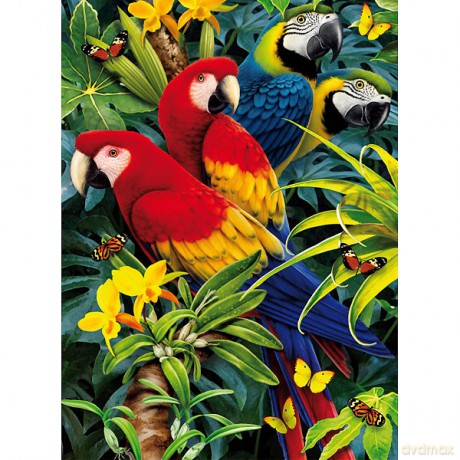 Clementoni 3d 1000 El. Majestic Macaws [PUZZLE]