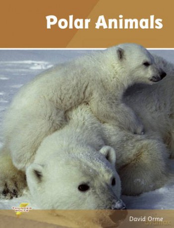 Polar Animals - Helen Orme [KSIĄŻKA]