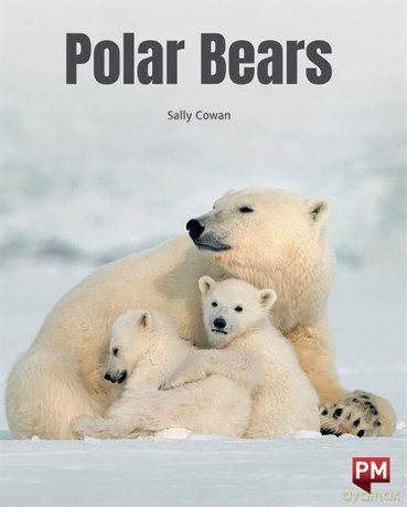 Polar Bears - Sally Cowan [KSIĄŻKA]