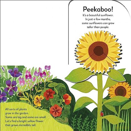 Pop Up Peekaboo Garden - Dk [KSIĄŻKA]
