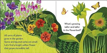 Pop Up Peekaboo Garden - Dk [KSIĄŻKA]
