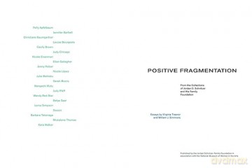 Positive Fragmentation Collections Johb - Vaughan [KSIĄŻKA]