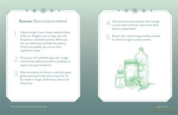 Power Of Ancient Wellness - Gill Thackray [KSIĄŻKA]