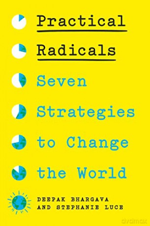 Practical Radicals [KSIĄŻKA]