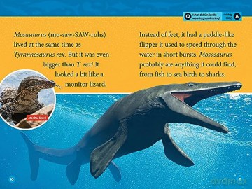 Prehistoric Sea Monster - National Geographic [KSIĄŻKA]