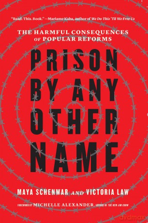 Prison By Any Other Name - Maya Schenwar [KSIĄŻKA]