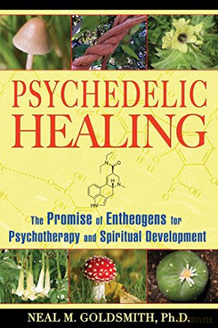 Psychedelic Healing - Neal M Goldsmith [KSIĄŻKA]