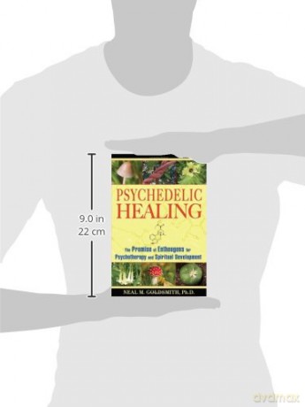 Psychedelic Healing - Neal M Goldsmith [KSIĄŻKA]