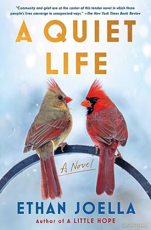 Quiet Life - Ethan Joella [KSIĄŻKA]