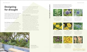 Raised Bed Book - Dk [KSIĄŻKA]