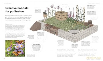 Raised Bed Book - Dk [KSIĄŻKA]