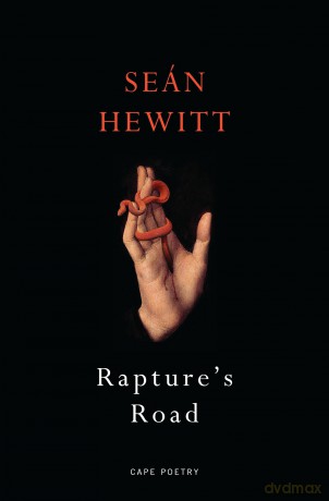 Raptures Road - Sean Hewitt [KSIĄŻKA]