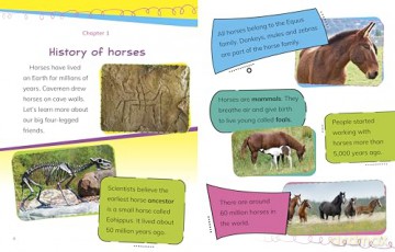 Read All About Horses - Nadia Ali [KSIĄŻKA]
