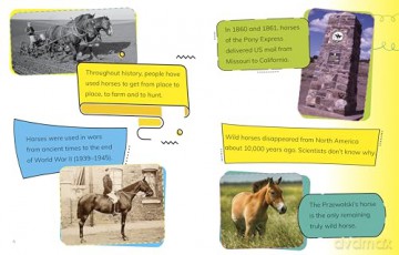 Read All About Horses - Nadia Ali [KSIĄŻKA]