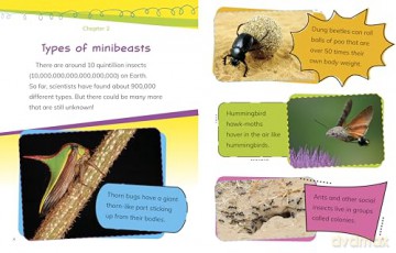 Read All About Minibeasts - Mae Respicio [KSIĄŻKA]