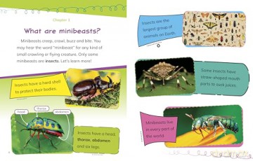 Read All About Minibeasts - Mae Respicio [KSIĄŻKA]