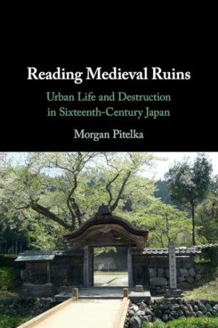 Reading Medieval Ruins - Pitelka Morgan [KSIĄŻKA]